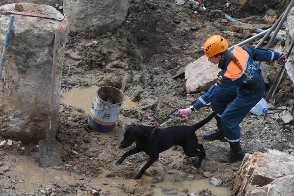 Три строителя погибли в Новосибирске после обрушения стены, один в больнице - Sputnik Армения