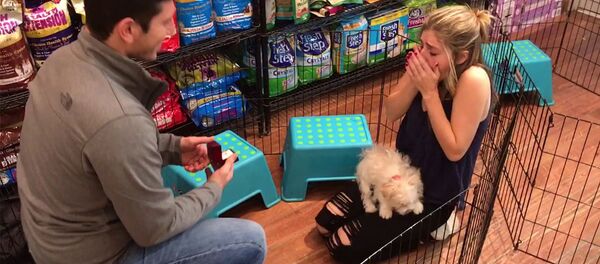 Предложение руки и сердца в зоомагазине - Sputnik Армения