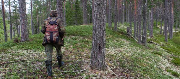 Лесничий - Sputnik Армения