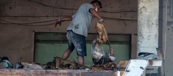 Вынос испортившихся продуктов в холодильниках после пожара на складе Дзюник Сарнарян - Sputnik Արմենիա