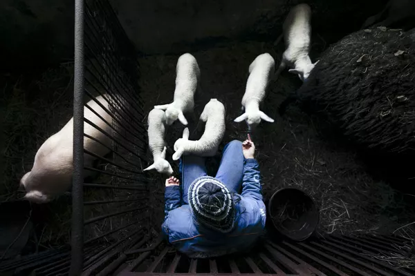 Снимок Minigods польского фотографа Adam Żądło, занявший второе место в категории Next Generation Award photo story конкурса Nikon Photo Contest 2018-2019 - Sputnik Армения