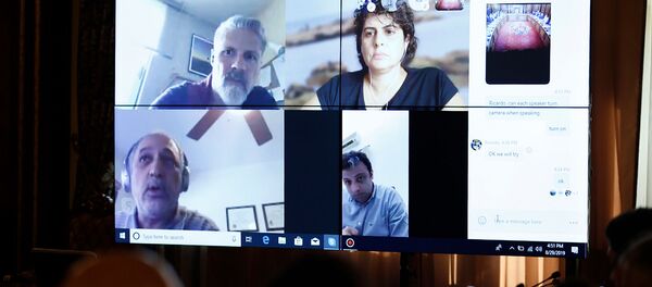 Телемост со специалистами консалтинговой компании ELARD (29 августа 2019). Еревaн - Sputnik Армения