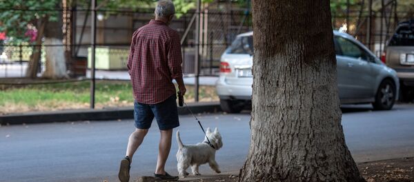 Прогулка - Sputnik Армения