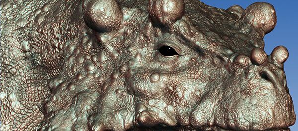 Ученые нашли в Китае останки самой уродливой рептилии на Земле Ученые нашли в Китае останки самой уродливой рептилии на Земле - Sputnik Армения