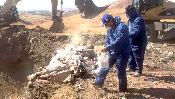 Сотрудники гос.структур уничтожили остатки мяса, хранящиеся на складах Дзюник сарнаран - Sputnik Արմենիա