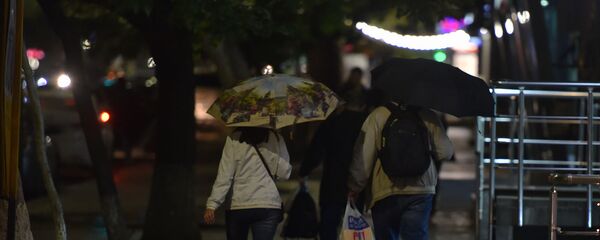 Пешеходы под дождем - Sputnik Армения