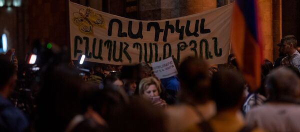 Акция протеста против эксплуатации Амулсара перед Домом правительства (11 сентября 2019). Еревaн - Sputnik Արմենիա