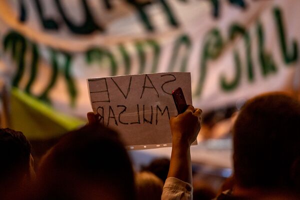 Власти молчат, экологи кричат: чем так неугодил армянам золотой рудник в Амулсаре - Sputnik Армения