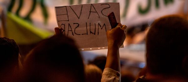 Акция протеста против эксплуатации Амулсара перед Домом правительства (11 сентября 2019). Еревaн Акция протеста против эксплуатации Амулсара перед Домом правительства (11 сентября 2019). Еревaн - Sputnik Армения