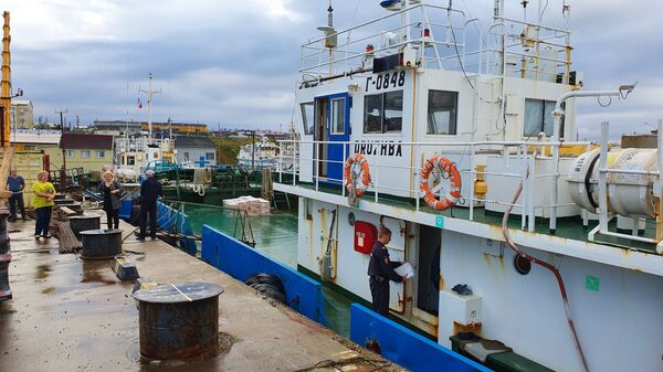 Дружба и Надежда жителей острова Шикотан Дружба и Надежда жителей острова Шикотан - Sputnik Армения