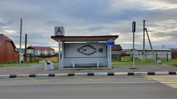 Прирученная экзотика: контрасты острова Итуруп Прирученная экзотика: контрасты острова Итуруп - Sputnik Армения