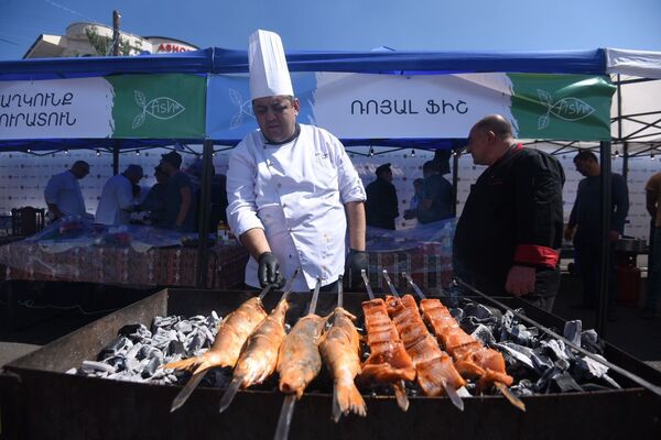 Рыбный фестиваль Эко фиш фест на берегу озера Севан - Sputnik Армения