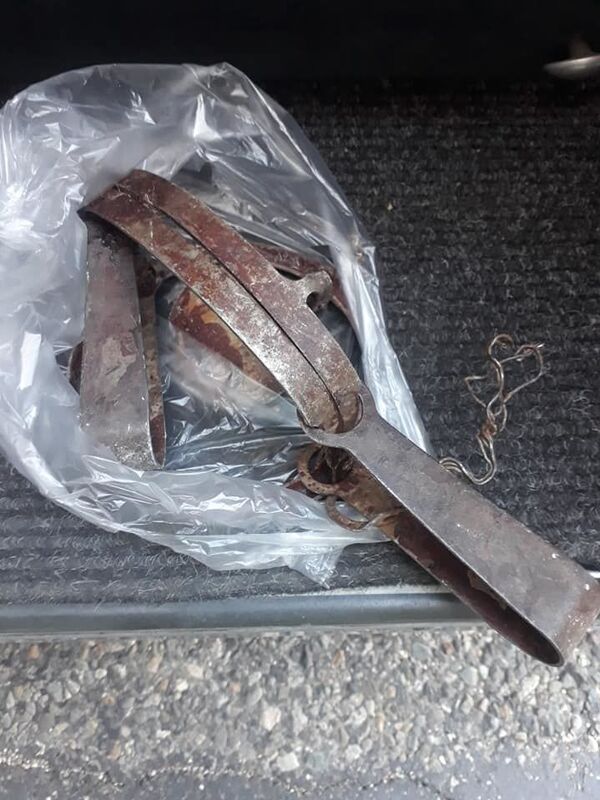 Նորավանքի մոտ բեզոարյան այծն ընկել է թակարդն ու կտրված ոտքով փախել. լուսանկարներ Նորավանքի մոտ բեզոարյան այծն ընկել է թակարդն ու կտրված ոտքով փախել. լուսանկարներ - Sputnik Արմենիա