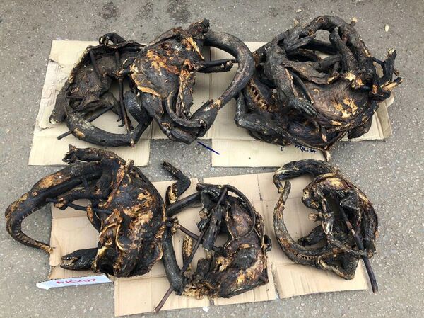 Հարսնացուն Հայաստանից. Աբուջայում ապրող միակ հայ ընտանիքի սիրո պատմությունը. տեսանյութ - Sputnik Արմենիա