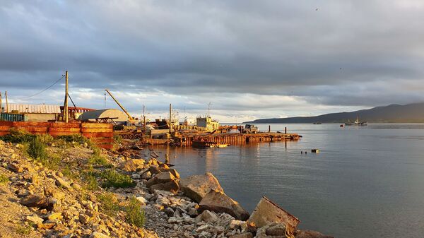 Печаль в глазах японцев: как живет остров Кунашир сегодня Печаль в глазах японцев: как живет остров Кунашир сегодня - Sputnik Армения