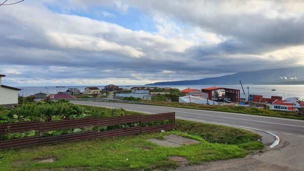 Печаль в глазах японцев: как живет остров Кунашир сегодня Печаль в глазах японцев: как живет остров Кунашир сегодня - Sputnik Армения