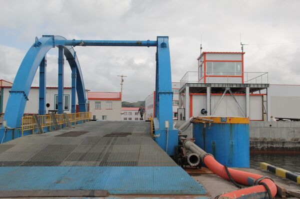 Золотая рыбка — это не сказка: исландцы едут на самый современный завод России Золотая рыбка — это не сказка: исландцы едут на самый современный завод России - Sputnik Армения