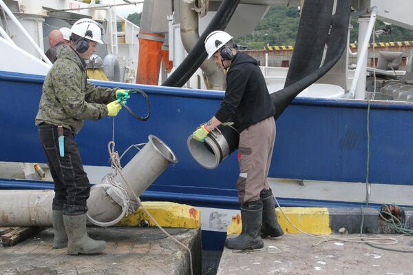 Золотая рыбка — это не сказка: исландцы едут на самый современный завод России Золотая рыбка — это не сказка: исландцы едут на самый современный завод России - Sputnik Армения