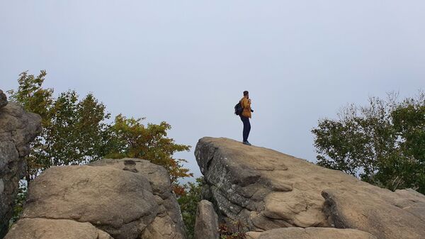 Потратить сто долларов и не пожалеть: чем способен удивить Сахалин Потратить сто долларов и не пожалеть: чем способен удивить Сахалин - Sputnik Армения
