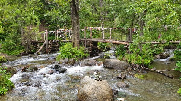 Потратить сто долларов и не пожалеть: чем способен удивить Сахалин Потратить сто долларов и не пожалеть: чем способен удивить Сахалин - Sputnik Армения