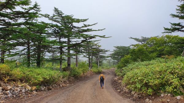Строители из Узбекистана: на Курилах не обманывают — это не Москва Строители из Узбекистана: на Курилах не обманывают — это не Москва - Sputnik Армения