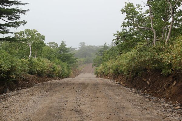 Строители из Узбекистана: на Курилах не обманывают — это не Москва Строители из Узбекистана: на Курилах не обманывают — это не Москва - Sputnik Армения