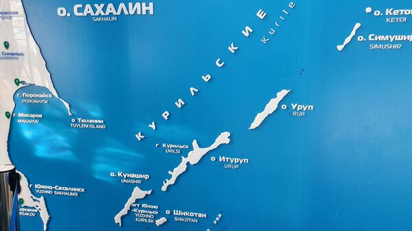 Губернатор Сахалина: важнейшая задача государства — развивать его территории Губернатор Сахалина: важнейшая задача государства — развивать его территории - Sputnik Армения