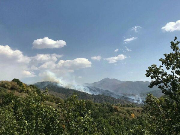 Այրվում է Սյունիքի Լիճք գյուղի մոտակա անտառը. լուսանկար Այրվում է Սյունիքի Լիճք գյուղի մոտակա անտառը. լուսանկար - Sputnik Արմենիա