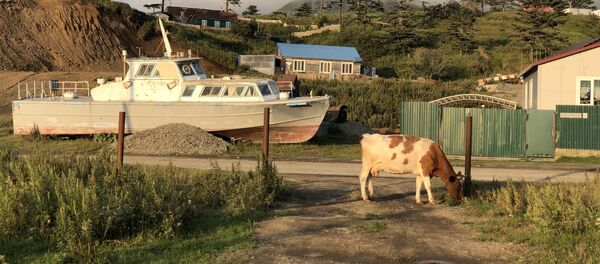 На маленьком Шикотане море и океан видны с любой точки. Но даже обычные пейзажи деревенской жизни не обходятся без морской тематики. - Sputnik Армения