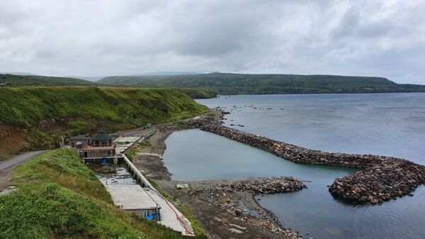 Сюда не приезжают пить кока-колу: что делать туристу на Курильских островах Сюда не приезжают пить кока-колу: что делать туристу на Курильских островах - Sputnik Армения