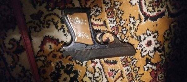 Найденный пистолет в даче Айка Арутюняна - Sputnik Արմենիա