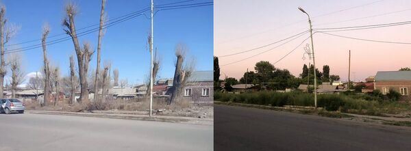 Վերացված կանաչ գոտի Գյումրիում, կամ օրենքը լռո՞ւմ է «օրենքով գողերի» դեպքում - Sputnik Արմենիա