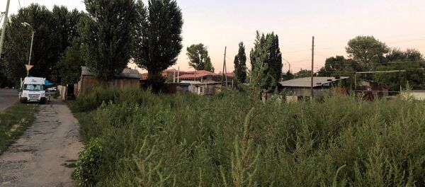 Улица Тиграняна в Гюмри - Sputnik Արմենիա