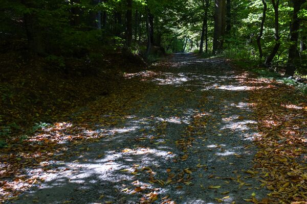 Земли есть, а денег нет: бывшие чиновники не платят за арендованное имущество Земли есть, а денег нет: бывшие чиновники не платят за арендованное имущество - Sputnik Армения