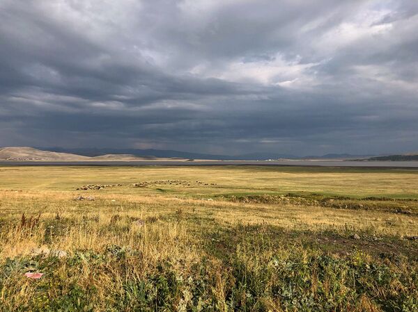 Ստորգետնյա անցում դեպի Անի և ամենավտանգավոր օձը. ինչ կա Շիրակում, որ չկա ուրիշ ոչ մի տեղ - Sputnik Արմենիա