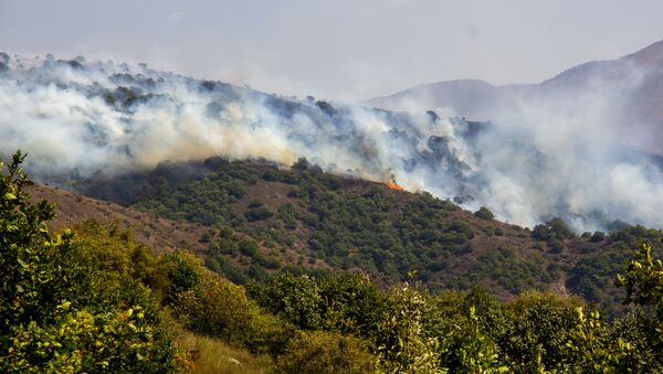 Лесной пожар близ сел Личк и Таштун (21 сентября 2019). Сюник - Sputnik Армения