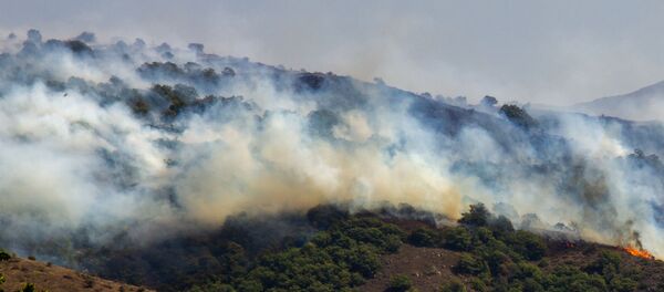 Лесной пожар близ сел Личк и Таштун (21 сентября 2019). Сюник - Sputnik Армения