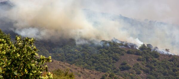 Лесной пожар близ сел Личк и Таштун (21 сентября 2019). Сюник - Sputnik Արմենիա