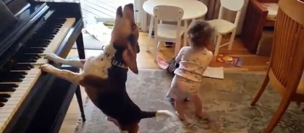 Веселая вечеринка малыша и собаки - Sputnik Արմենիա