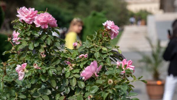 Ереван - Sputnik Армения