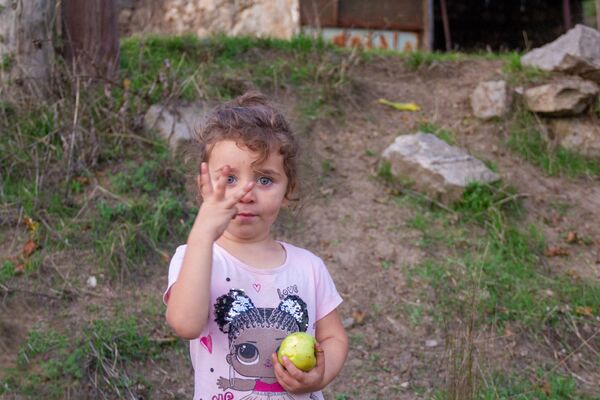 Скучая по таши-туши: как в армянской деревне Таврус разучились играть свадьбы - Sputnik Армения