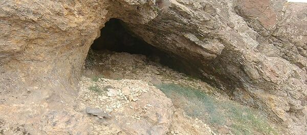 Берлога медведя на горе Арагац Берлога медведя на горе Арагац - Sputnik Արմենիա