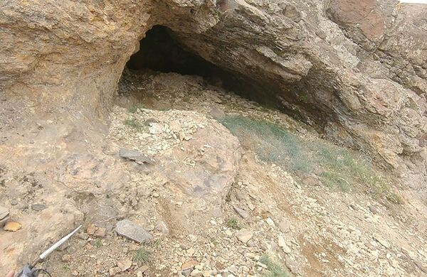 На Арагаце установят видеокамеры для наблюдения за медведем, напавшим на польского туриста На Арагаце установят видеокамеры для наблюдения за медведем, напавшим на польского туриста - Sputnik Армения