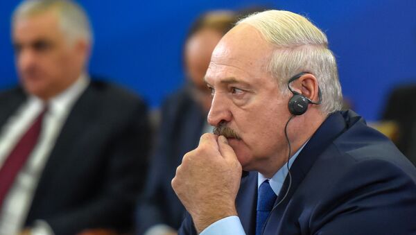 Президент Беларуси Александр Лукашенко во время расширенного заседания Высшего Евразийского Экономического Совета - Sputnik Армения