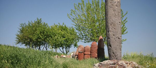 Вишап и фаллосы Мецаморского холма - Sputnik Արմենիա