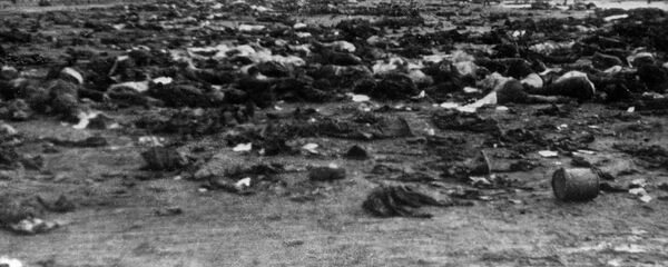 Великая Отечественная война 1941-1945 гг. Советские военнопленные, расстрелянные фашистами в концлагере перед отступлением. Великая Отечественная война 1941-1945 гг. Советские военнопленные, расстрелянные фашистами в концлагере перед отступлением. - Sputnik Армения