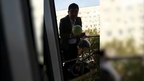 Хитрый торговец из Казахстана продает овощи с помощью строительного крана - Sputnik Армения