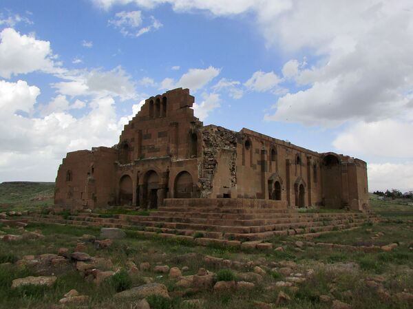 Подземные ходы до древнего Ани и самая опасная змея: что есть в Шираке, чего нет нигде? - Sputnik Армения