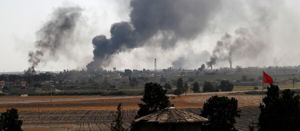Дым над сирийским городом Тель-Абьяд (10 октября 2019). Сирия - Sputnik Արմենիա