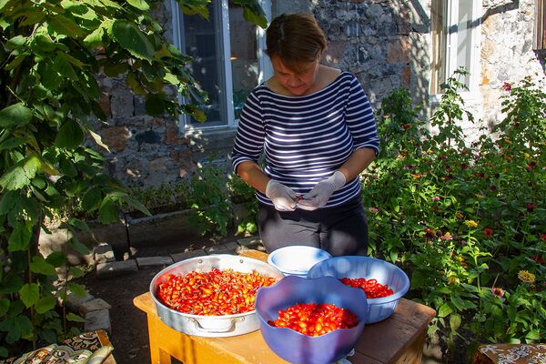 Վանաձորցի ընտանիքի թալիսմանը մասուրն է, կամ զբոսաշրջիկները հիացած են հայկական ապուրով - Sputnik Արմենիա